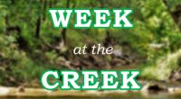 In order to keep the Stoney Creek Community better informed, we will be providing a week at a glance for each week to feature events that families might need reminders […]