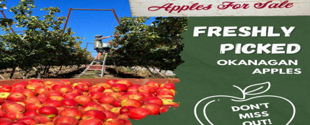 The Stoney Creek Community Council (PAC) will be offering another opportunity to purchase apples.  This will be your last chance to order these delicious apples for the season.  Sales are open until […]